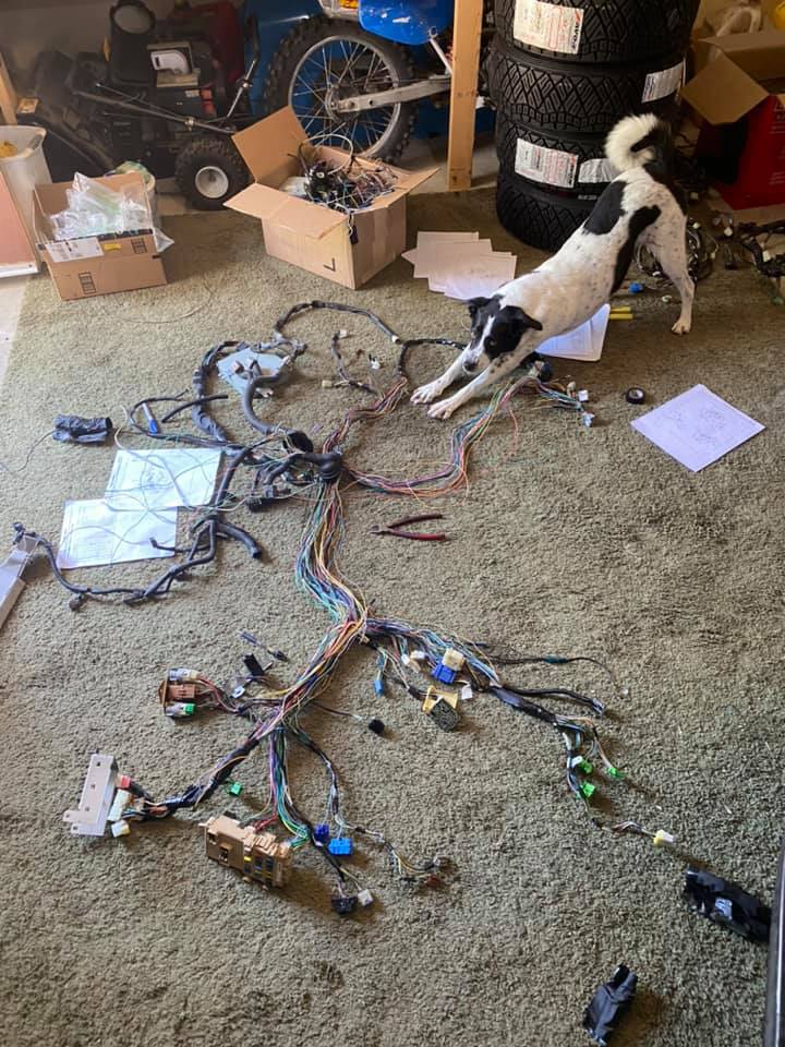 HF Build 6-21-20 1