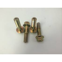 TiC AVCS Cam Bolt