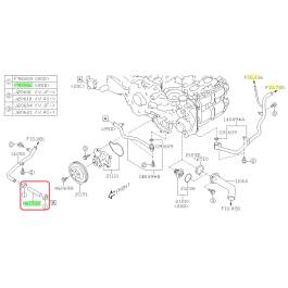 Subaru OEM Water Pump Hose Kit (24+ Crosstrek - 25D)