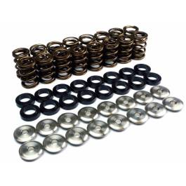 Ferrea Acura K20 Endurance Dual Spring Kit