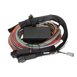 Haltech Elite 1500 8ft Premium Universal Wire-In Harness main image 0