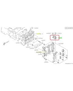 Subaru OEM Case Assembly Pump Drive - 16631AA060