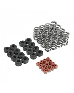 Skunk2 Ultra Valve Springs and Spring Base Kit (K20c1/K20c4)