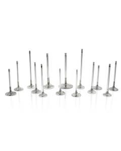 Ferrea 6000 Competition Intake Valves - STD 36mm (EJ20/EJ25)