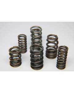 Ferrea Dual Valve Spring Set (13-20 BRZ)