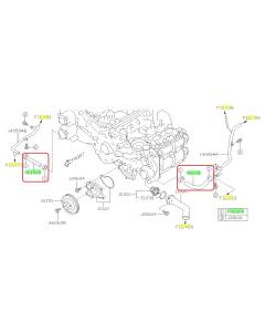 Subaru OEM Complete Coolant Hose Kit (15-19 WRX - CVT)