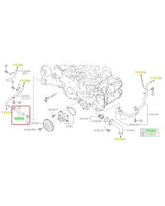 Subaru OEM Complete Coolant Hose Kit (23+ WRX - 6MT)