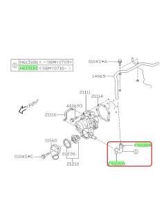 Subaru OEM Complete Coolant Hose Kit (05-09 Legacy - 253)
