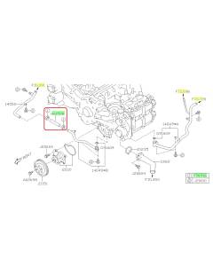 Subaru OEM Complete Coolant Hose Kit (19-23 Forester)