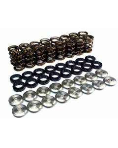 Ferrea Endurance Dual Valve Springs Kit w/ Titanium Retainers (EJ20/EJ25)