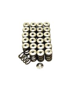 GSC Single Spring with TI Reatiners (EZ36)