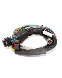 Haltech Elite 1500 8ft Universal Harness - Basic