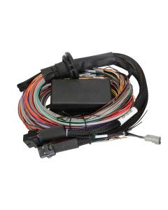 Haltech Elite 2500 & 2500T 8ft Universal Harness - Premium