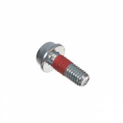 Subaru OEM Timing Guide Bolts