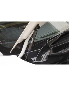 GReddy Carbon Hood Strut / Lifter (2022+ BRZ)