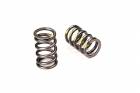 Manley Valve Springs (EJ20, EJ25)
