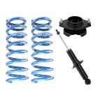 RalliTEK 3/4" Rear Springs & OEM Struts (15-19 Outback)
