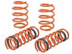 aFe Control Lowering Springs (16-18 Focus RS)