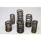 Ferrea Dual Valve Spring Set (13-20 BRZ)