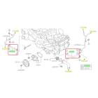 Subaru OEM Complete Coolant Hose Kit (15 WRX - 6MT)