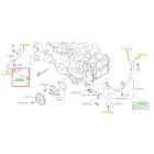 Subaru OEM Water Pump Hose Kit (19-24 Ascent)