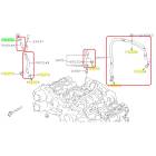 Subaru OEM PCV Hose Kit (17-21 WRX)