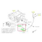 Subaru OEM Complete Coolant Hose Kit (10-14 Legacy - 36D)