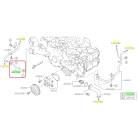 Subaru OEM Complete Coolant Hose Kit (20-25 Legacy - 24F)