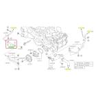Subaru OEM Complete Coolant Hose Kit (19-23 Crosstrek - 20D)