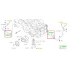 Subaru OEM Water Pump Hose Kit (17-18 Forester - 25B)