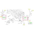 Subaru OEM Water Pump Hose Kit (14-18 Forester XT)