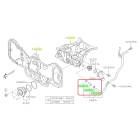 Subaru OEM Complete Coolant Hose Kit (05-09 Outback - 30D)