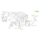 Subaru OEM Water Pump Hose Kit (15-19 Outback - 25B)