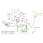 Subaru OEM Complete Coolant Hose Kit (15-19 Outback - 36D)