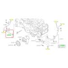 Subaru OEM Complete Coolant Hose Kit (20-25 Outback - 24F)