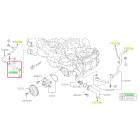 Subaru OEM Water Pump Hose Kit (17-23 Impreza)