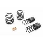 Eibach Pro-Kit Springs (15-21 WRX)