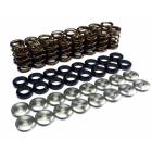 Ferrea Endurance Dual Valve Springs Kit w/ Titanium Retainers (EJ20/EJ25)