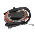 Haltech Elite 1500 8ft Universal Harness - Premium