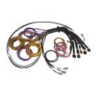 Haltech Nexus R5 Universal Wiring Harness - Basic - 2.5m