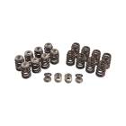 IAG Beehive Valve Spring and Titanium Retainer Set (EJ20/EJ25)