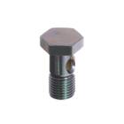 Subaru OEM AVCS Banjo Bolt - 15194AA270
