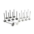 Tomei Racing Valve Set +1mm (15-21 WRX)