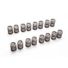 Tomei Valve Spring Set (KA24DE)