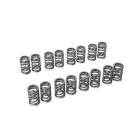 Tomei Valve Spring Set (SR20)