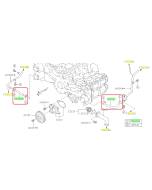 Subaru OEM Complete Coolant Hose Kit (15-19 WRX - CVT)