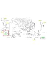 Subaru OEM Complete Coolant Hose Kit (22-23 WRX - CVT)