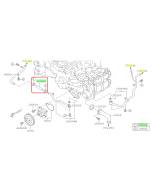 Subaru OEM Complete Coolant Hose Kit (23-24 Forester)